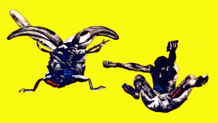 coccikalari