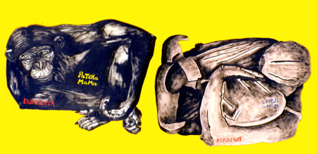 contors