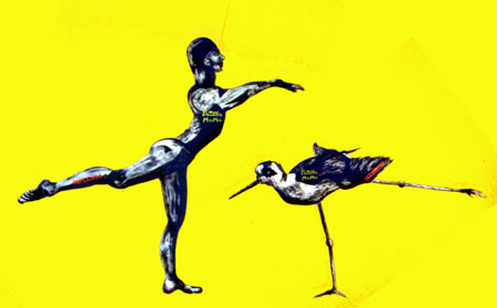 oiseaudanse
