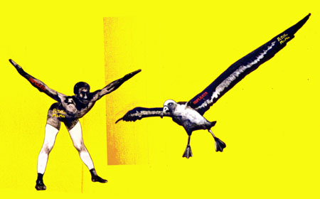 oiseauplane