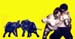 lutte éléphants