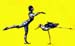 oiseaudanse